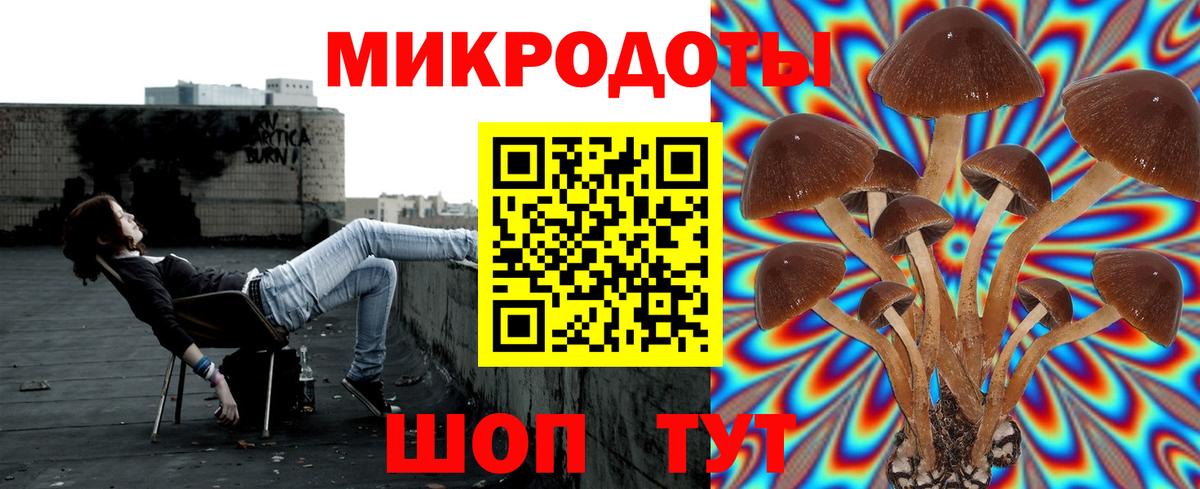Галлюциногенные грибы Cubensis  Вход с VPN  Бахчисарай  Галлюциногенные грибы Psilocybe 
